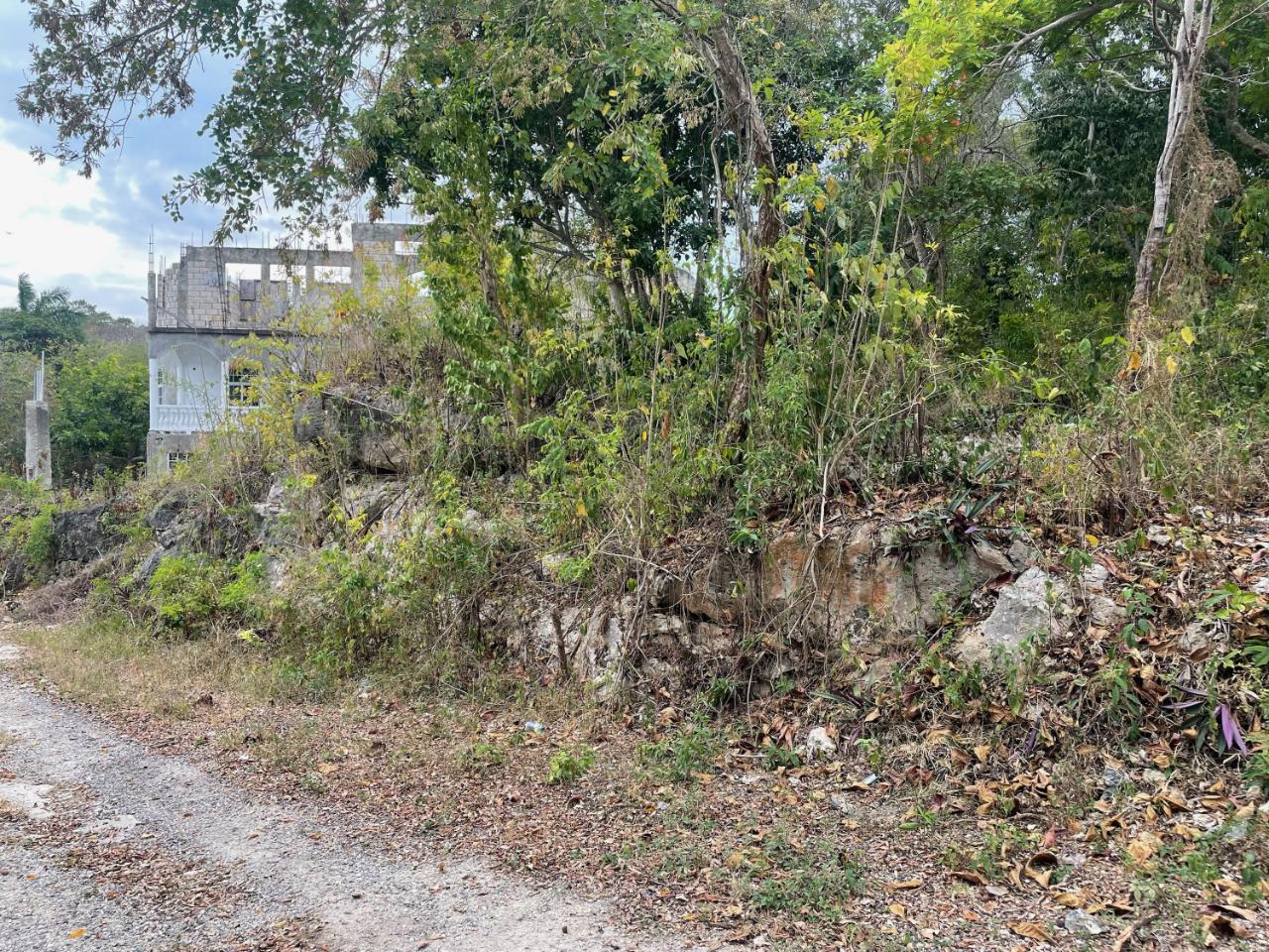 Residential Lot For Sale BALMORAL HEIGHTS, Tower Isle 9,500,000 Keez