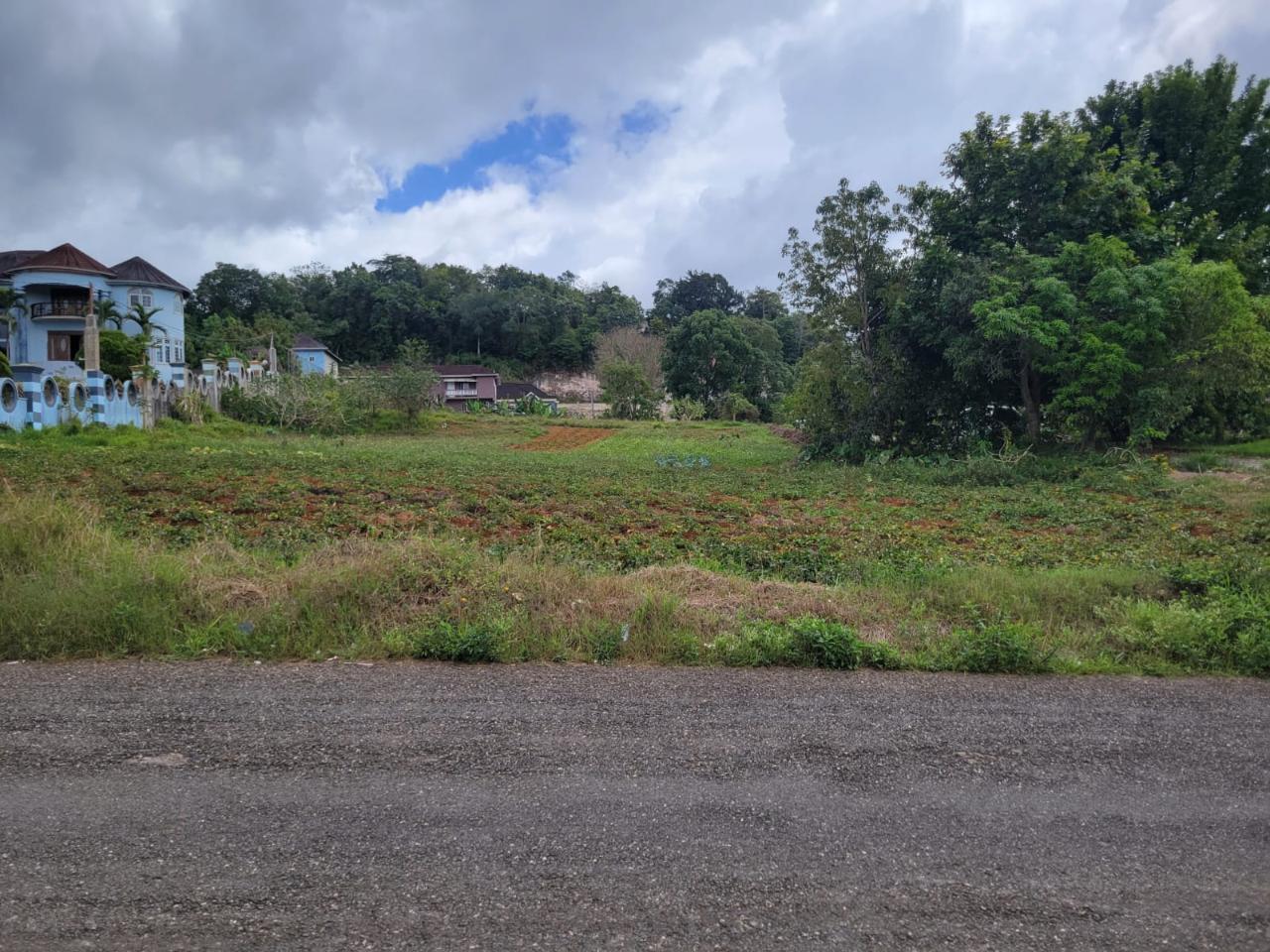 Development Land (Residential) For Sale WEST ROAD, Mandeville