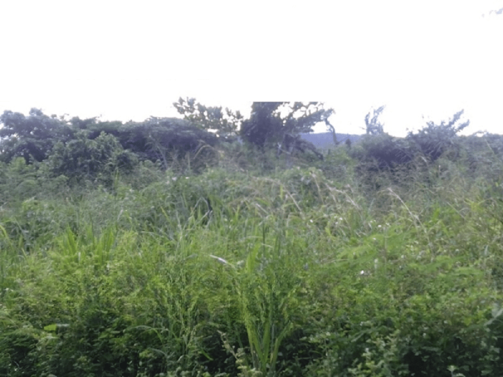 Residential Lot For Sale HOPEWELL, Hopewell 9,000,000 Keez