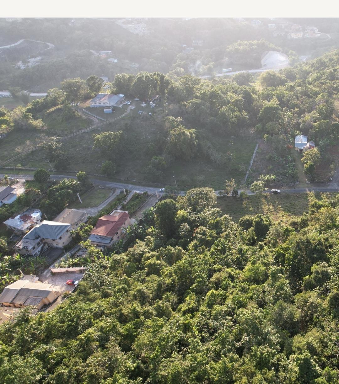 Development Land (Residential) For Sale MCKENLEY RD, MANDEVILLE