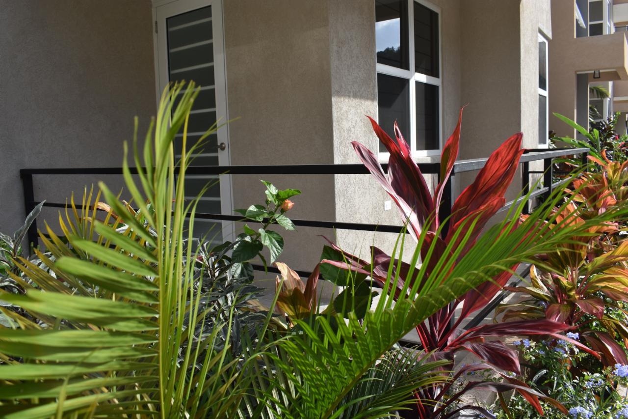 Apartment For Rent LAKEHURST DRIVE, KINGSTON, Kingston 8 240,000 Keez