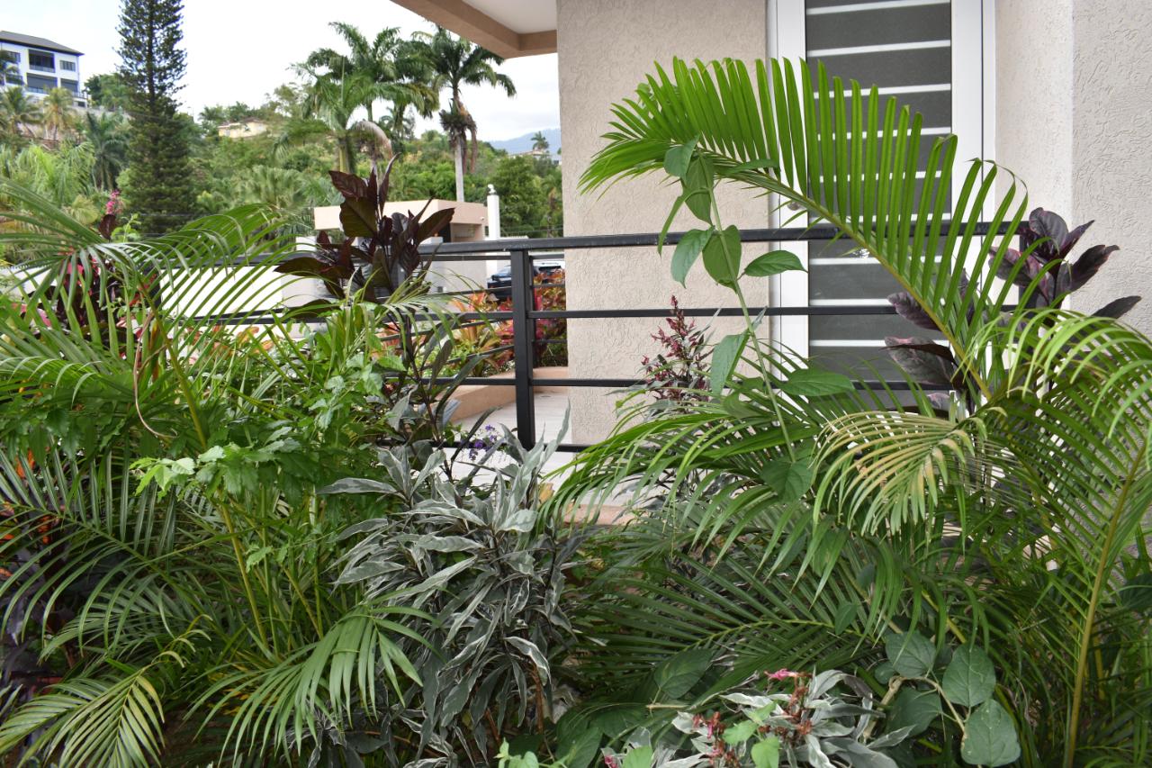 Apartment For Rent LAKEHURST DRIVE, KINGSTON, Kingston 8 240,000 Keez