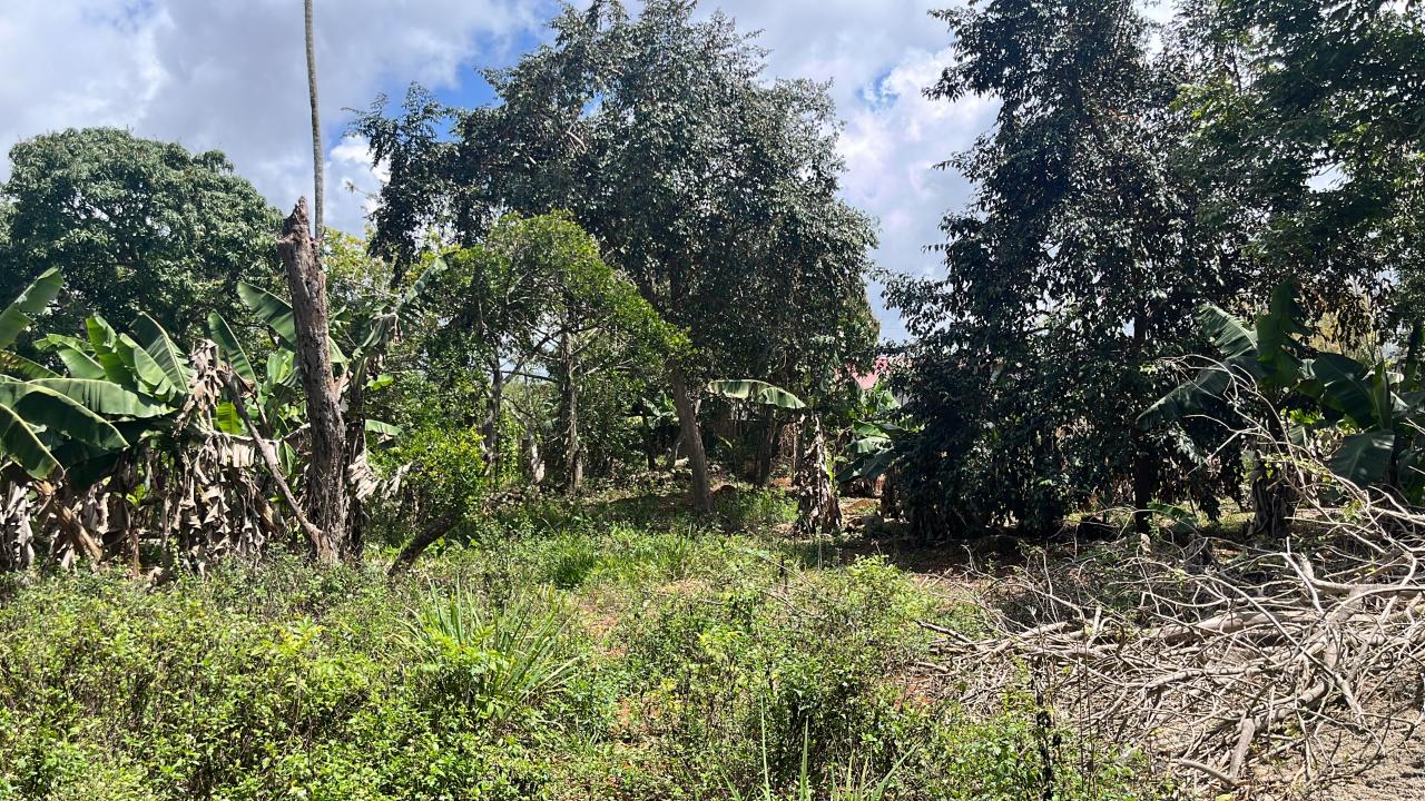 Residential Lot For Sale MANDEVILLE, Mandeville 8,500,000 Keez