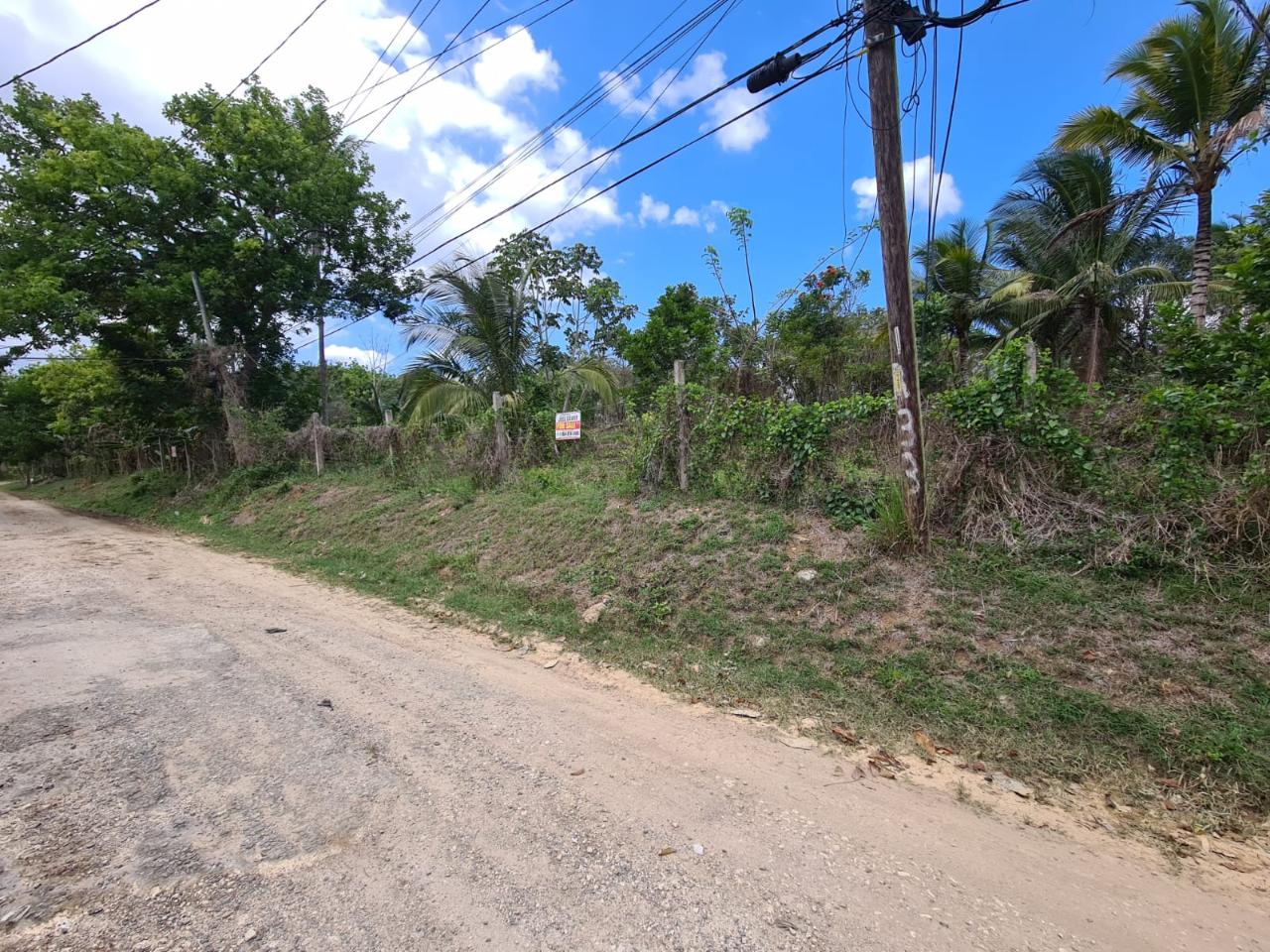 Residential Lot For Sale ROSEMOUNT ROAD, Linstead 5,000,000 Keez