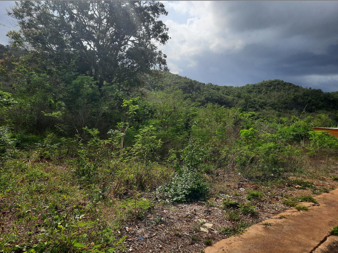 Residential Lot For Sale BUCKERIDGE DRIVE, SLIGOVI, Spanish Town