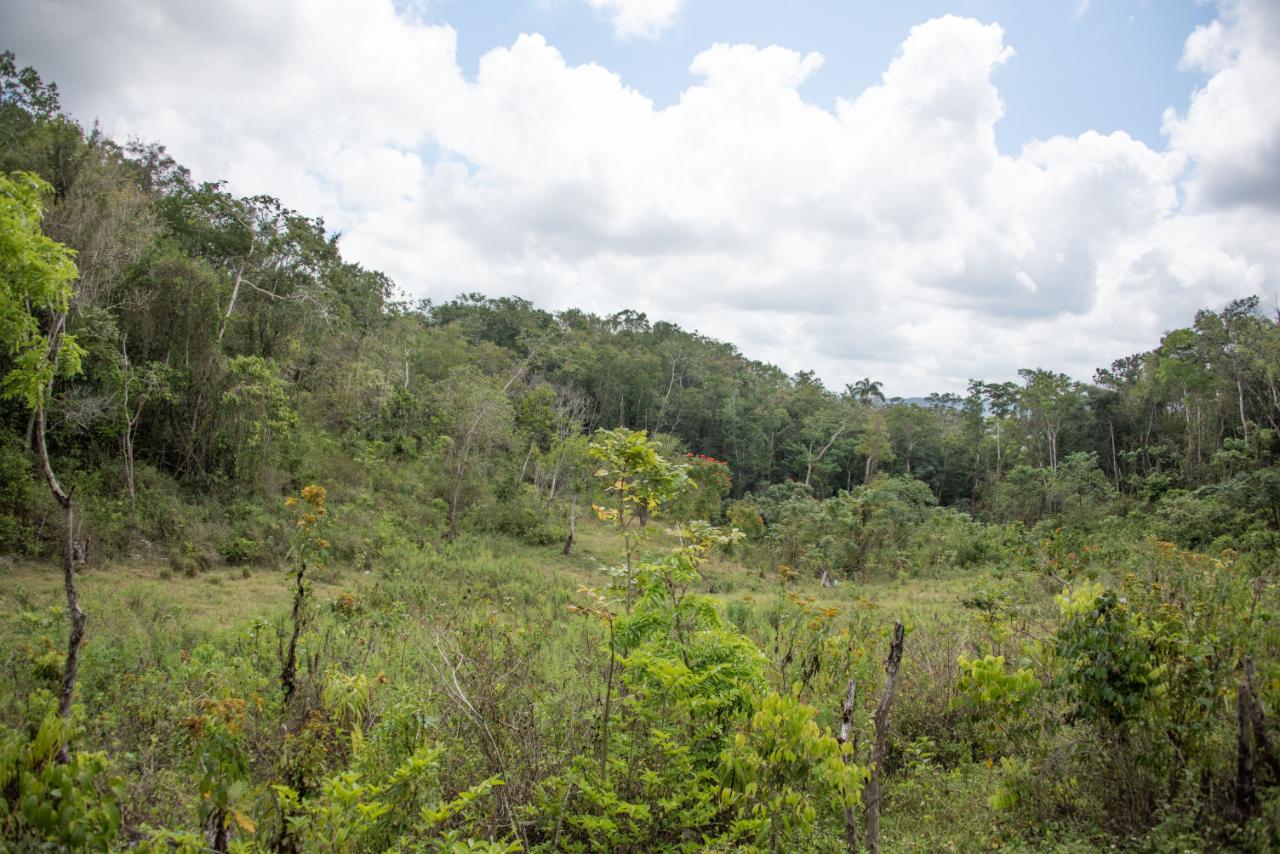 Development Land (Residential) For Sale PHOENIX PARK, MONEAGUE
