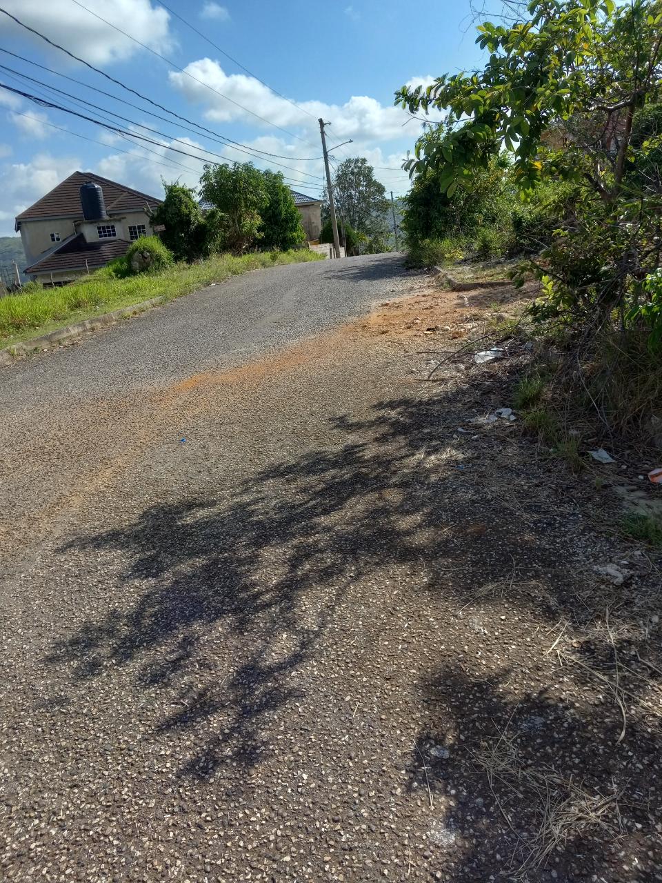 Residential Lot For Sale ORCHARD CIRCLE, WILLIAMSF, Williamsfield