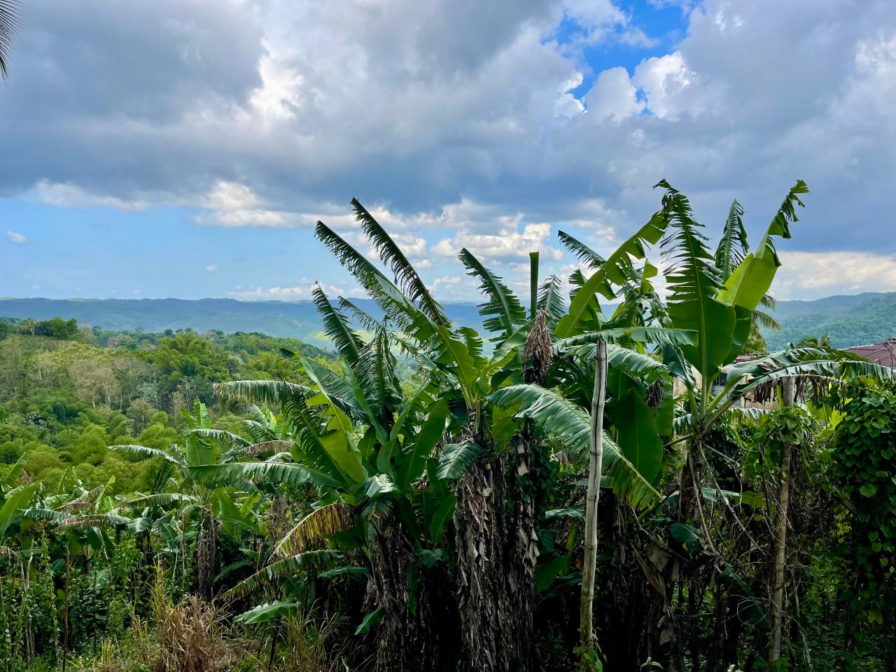 Residential Lot For Sale DIXON STREET, ALBERT TOWN, Albert Town