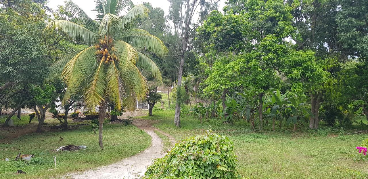 House For Sale SHEFFIELD, ORANGE HILL, SHEFFIELD 185,000 Keez