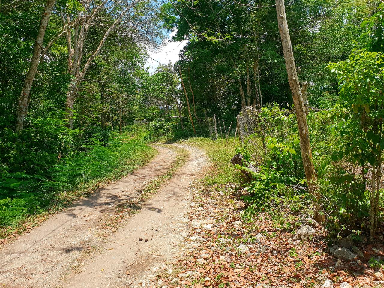 Development Land (Residential) For Sale CHATHAM, ST. JAMES, 488