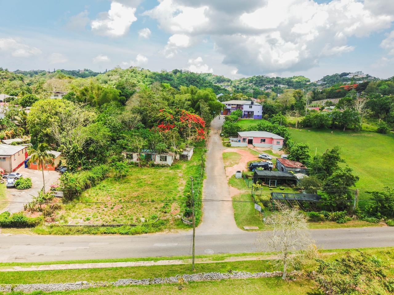 Offices / Commercial Bldg For Sale WARD AVENUE, MANDEVILLE, Mandeville