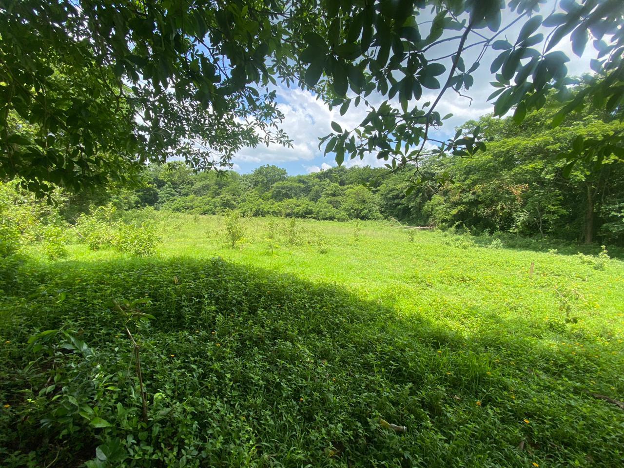 Development Land (Residential) For Sale ELIM, BOGUE, ST ELIZABETH, 2278 6,700,000 Keez