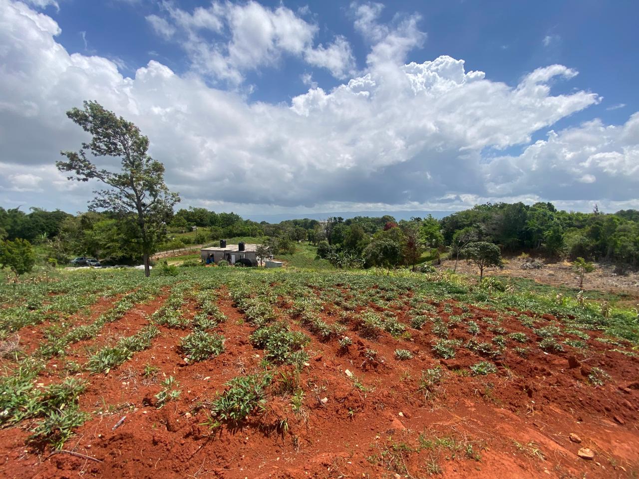 Residential Lot For Sale MALVERN, ST ELIZABETH, Malvern 13,000,000 Keez