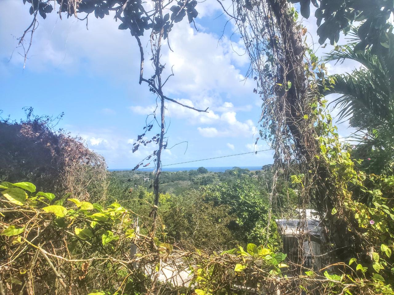 House For Sale ZION HILL, Hopewell 18,500,000 Keez