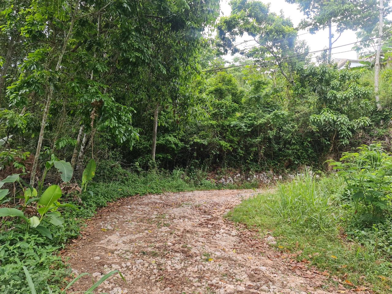 Residential Lot For Sale NORTH COAST VIEW, 2643 17,000,000 Keez