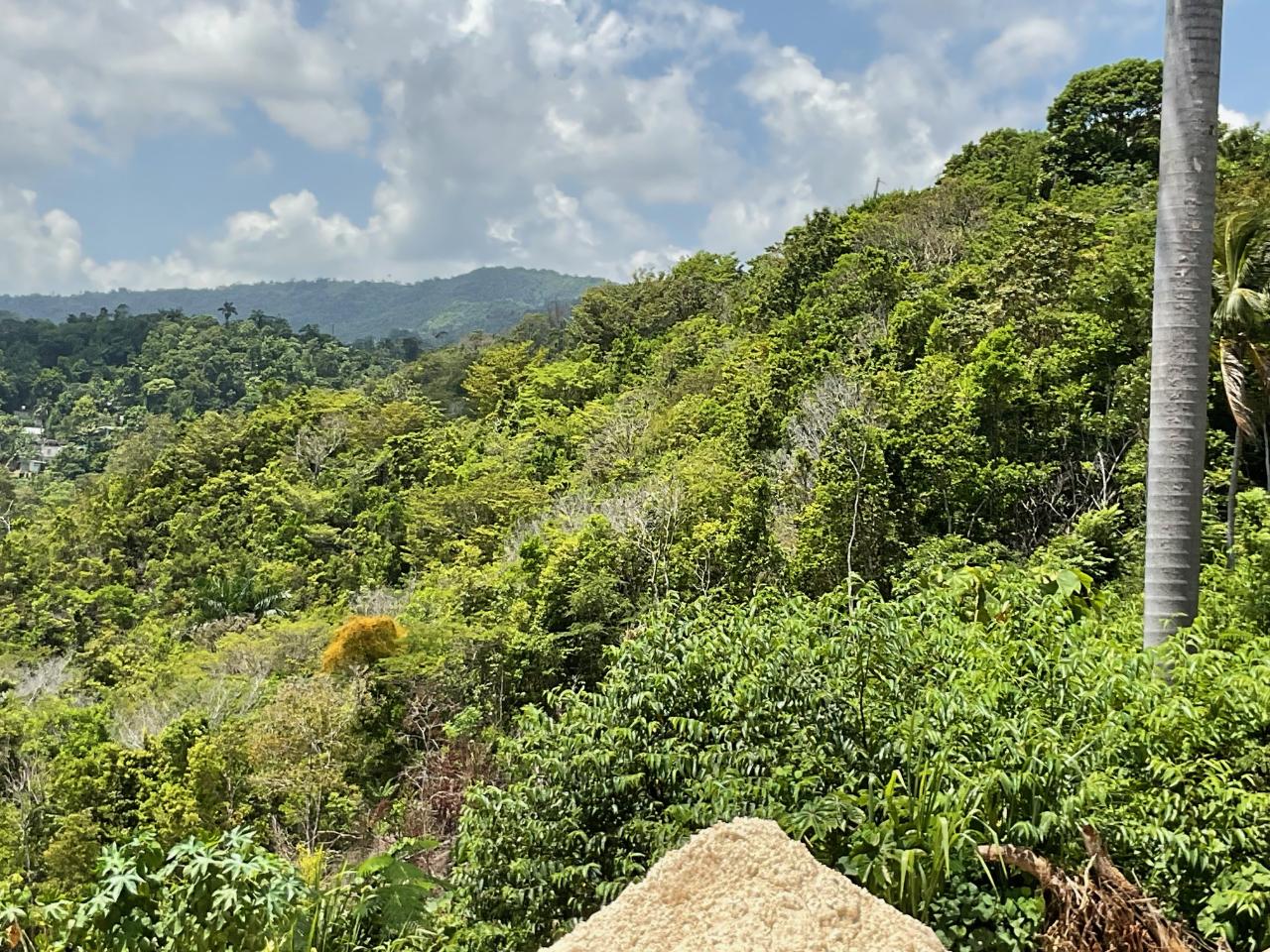 Development Land (Residential) For Sale LIBERTY HILL, St. Annapos;s