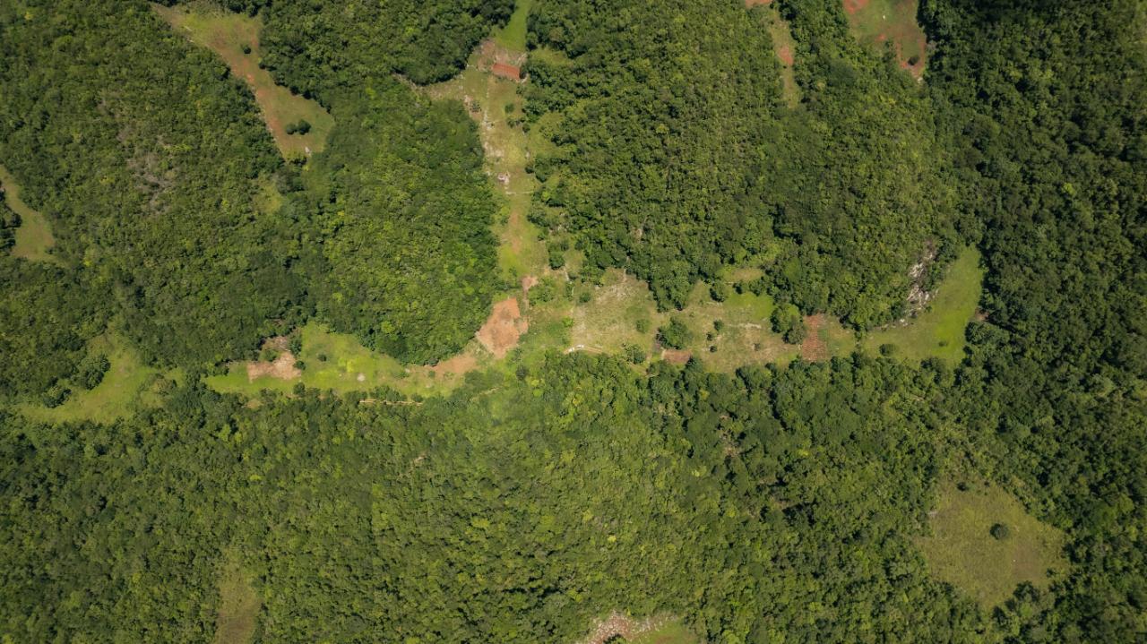 Offices / Commercial Bldg For Sale LOWER BUXTON, 641 318,000 Keez