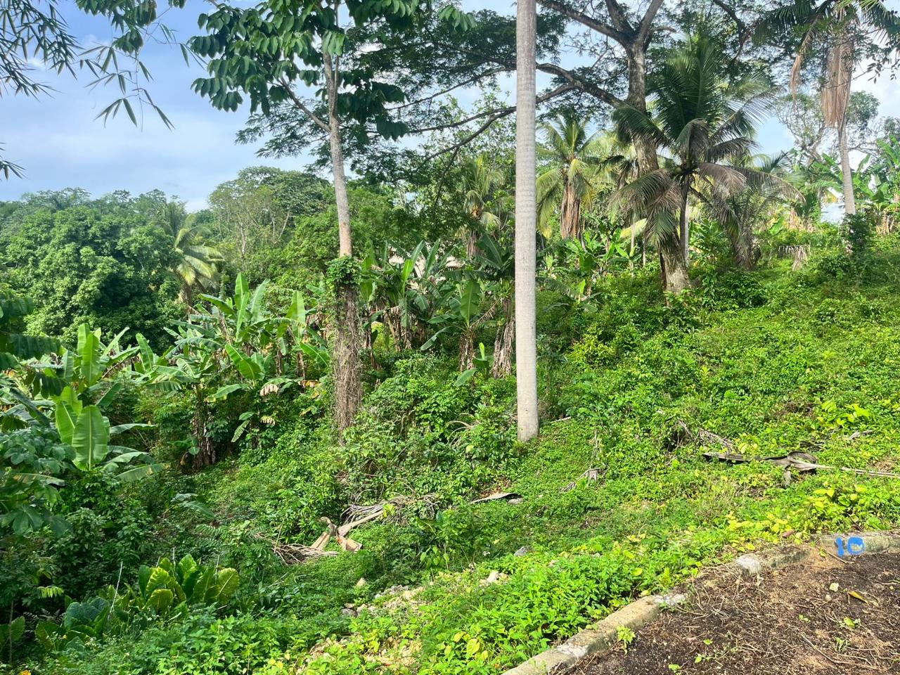 Residential Lot For Sale LINSTEAD, Linstead 4,800,000 Keez