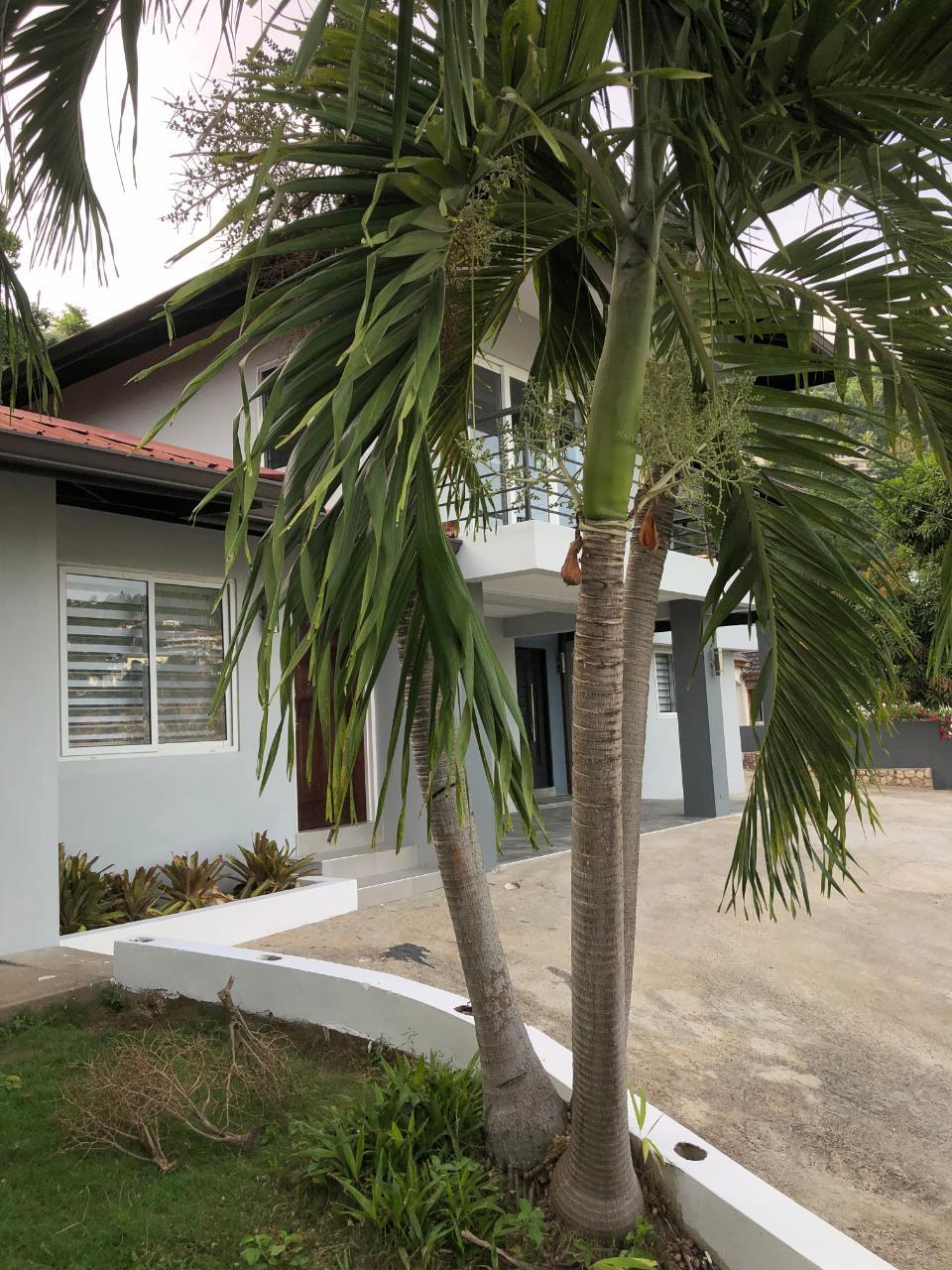 House For Rent BELGRADE LOOP, Kingston 19 130,000 Keez