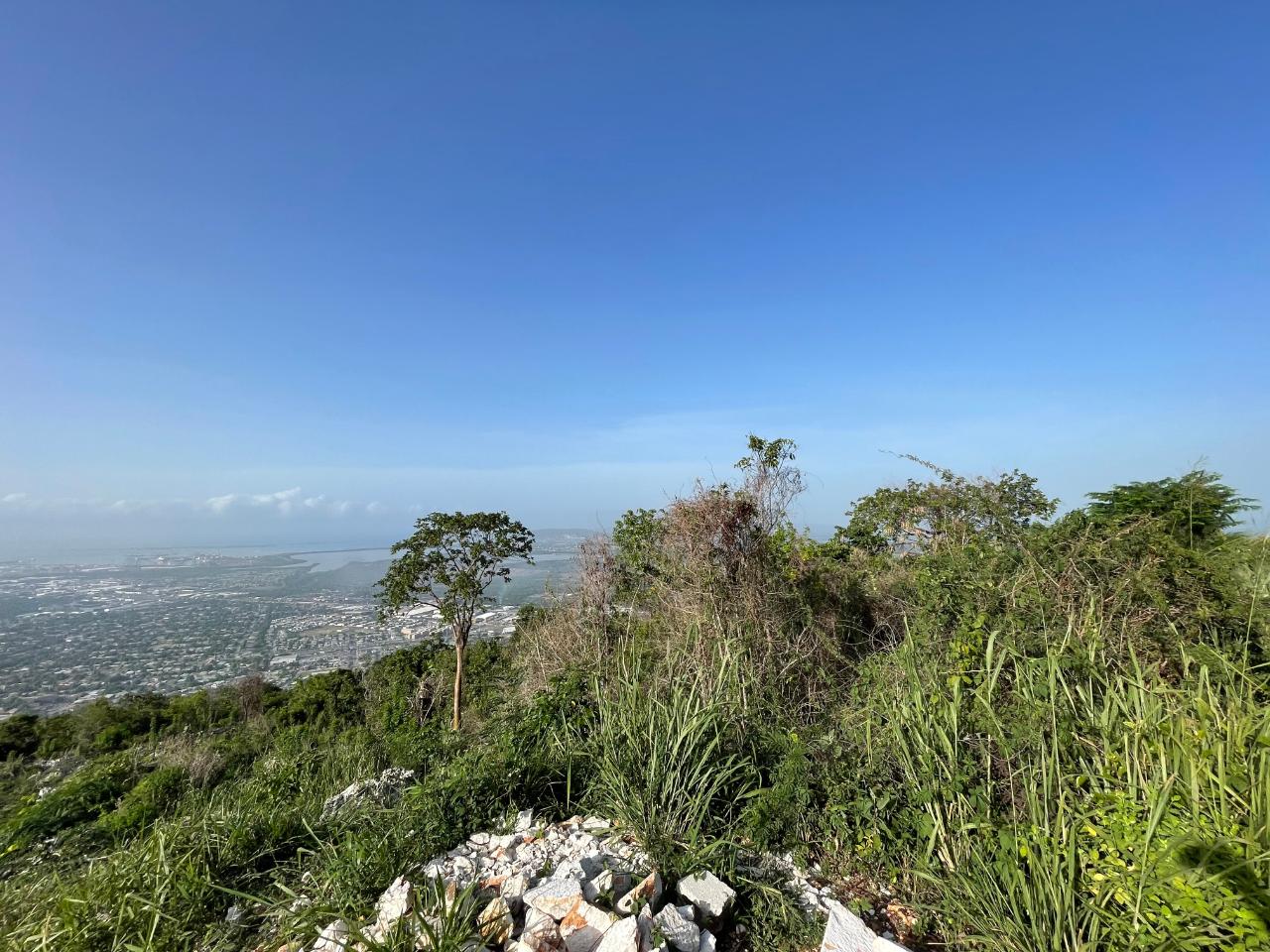 Residential Lot For Sale ELMWOOD DRIVE, Kingston 20 12,000,000 Keez