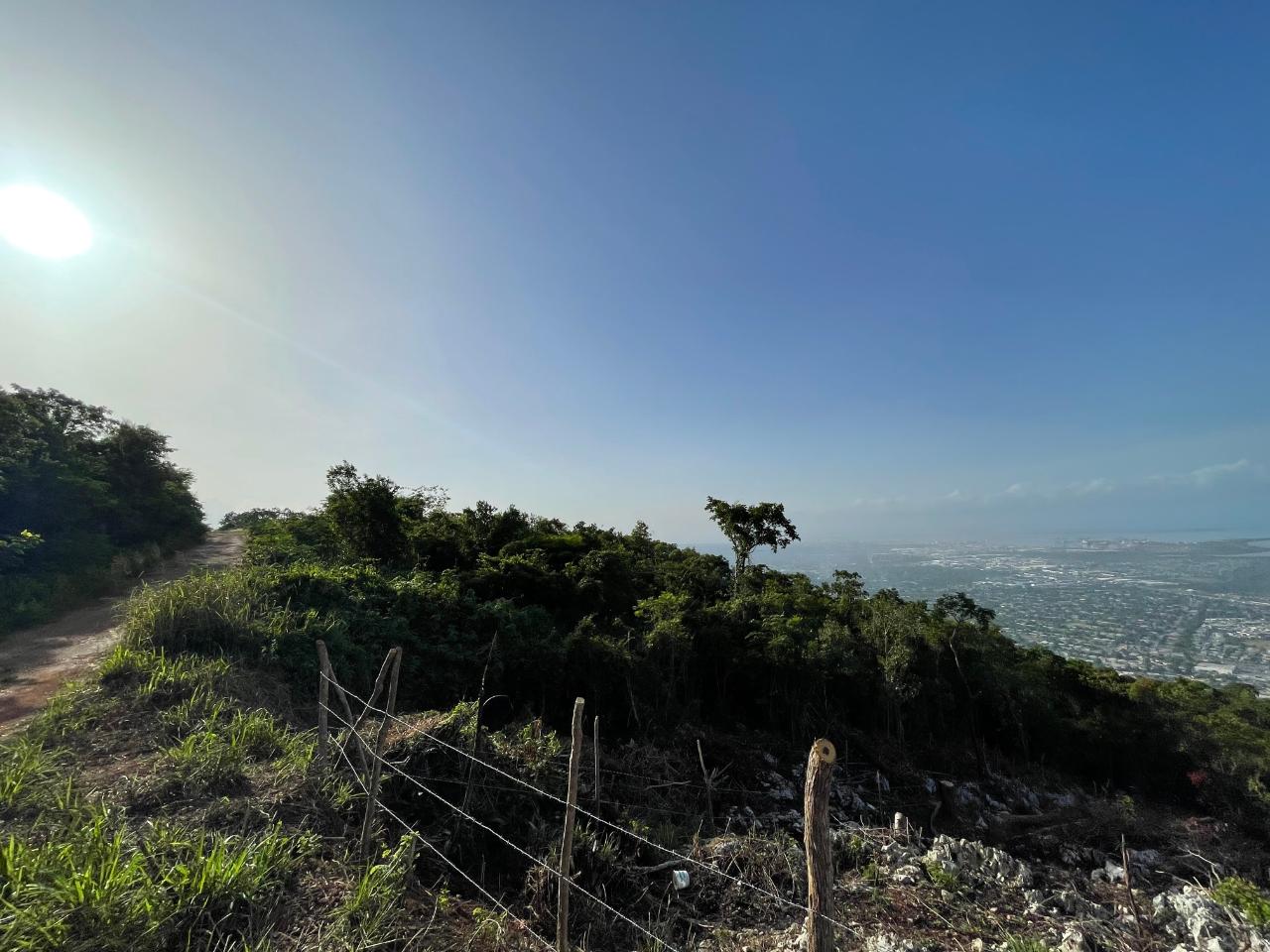 Residential Lot For Sale ELMWOOD DRIVE, Kingston 20 12,000,000 Keez