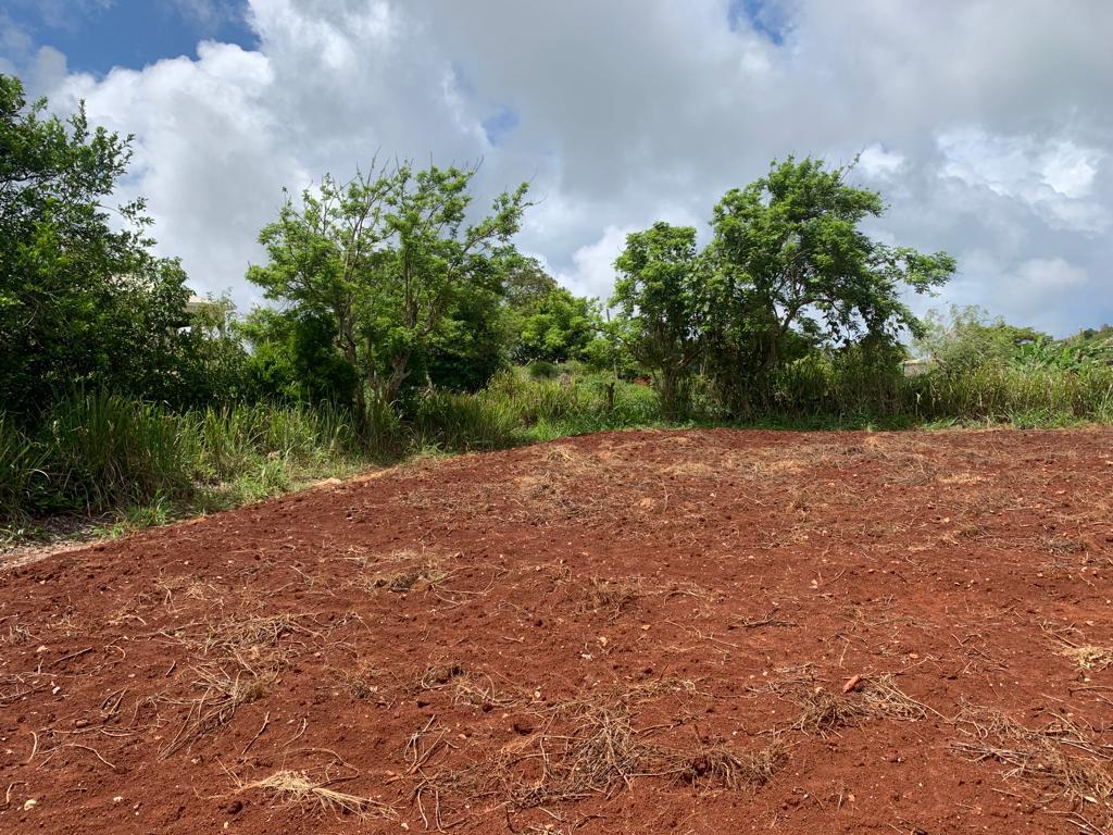 Residential Lot For Sale PART OF POTSDAM, 2277 8,000,000 Keez