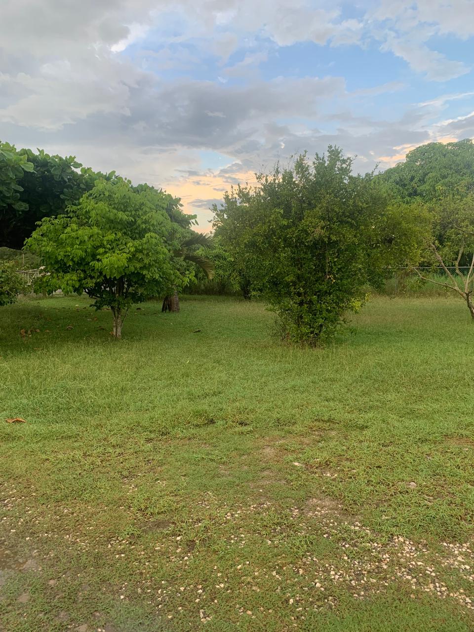 House For Sale NIGHTINGALE GROVE FARMS,, Bushy Park 50,000,000 Keez