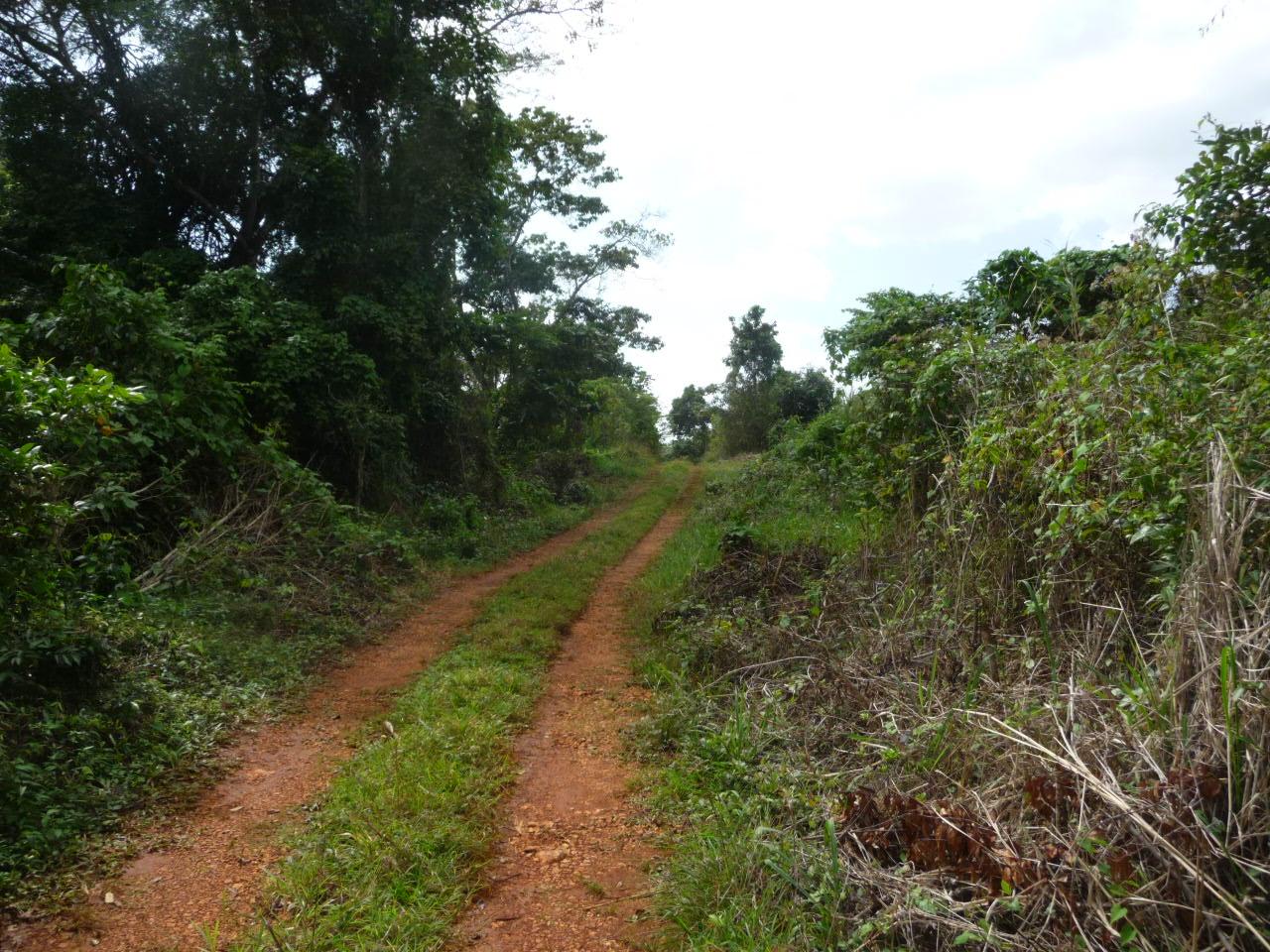 Development Land (Residential) For Sale MANGO VALLEY, Mango Valley
