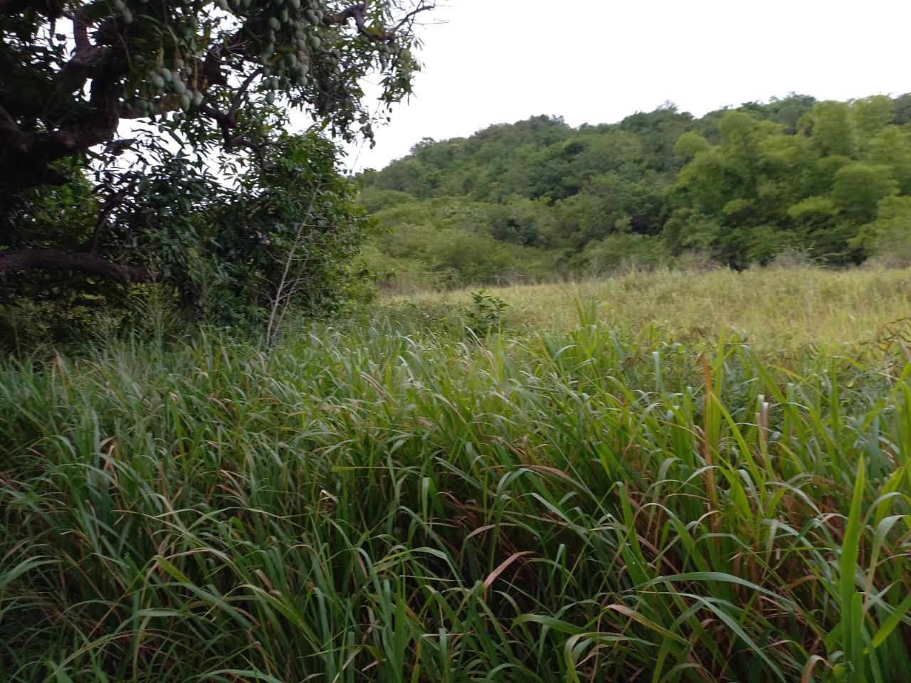 Residential Lot For Sale BALLARDS VALLEY, Ballards Valley 5,800,000