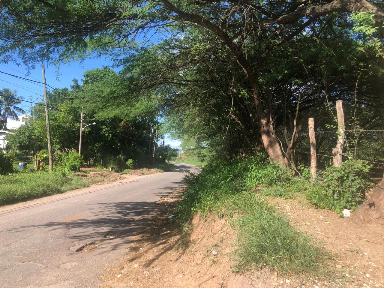 Development Land (Residential) For Sale DENBIGH, CLARENDON, Denbigh