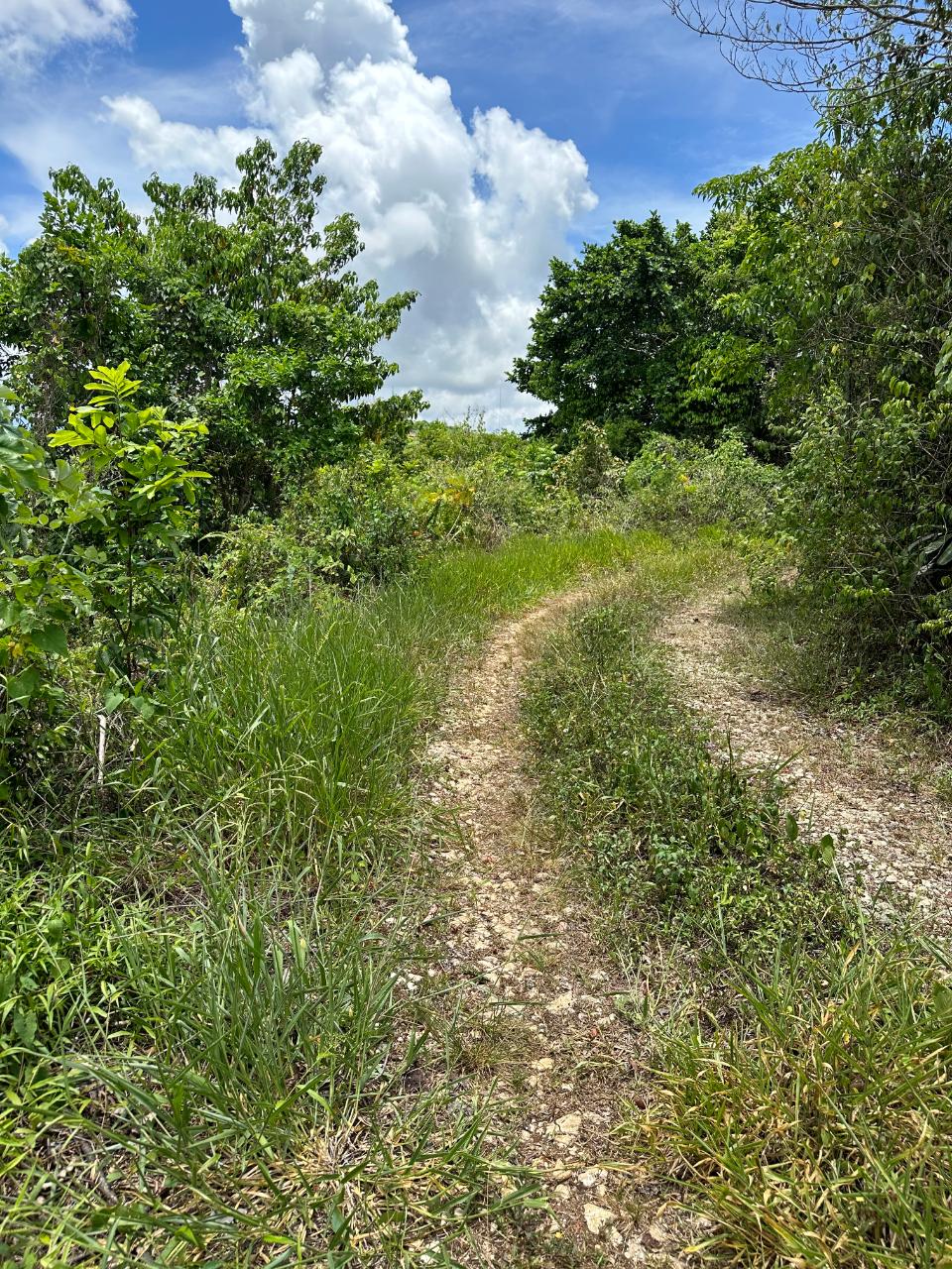 Residential Lot For Sale NORTH COAST VIEW, 2643 17,000,000 Keez