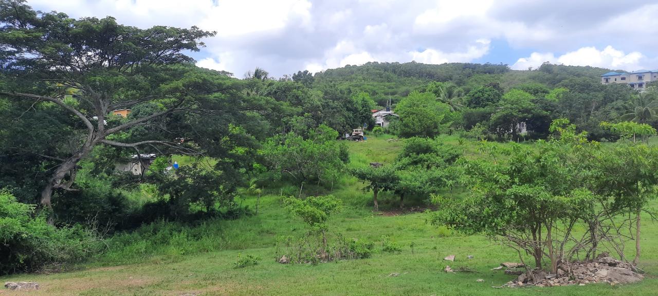 Development Land (Residential) For Sale BECKFORD, ROCK RIVER, Rock