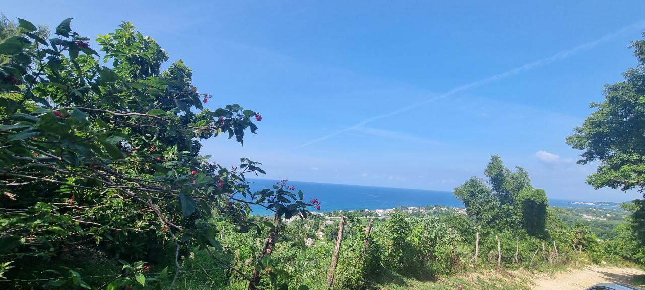 Residential Lot For Sale HAUGHTON COURT, Lucea 100,000 Keez