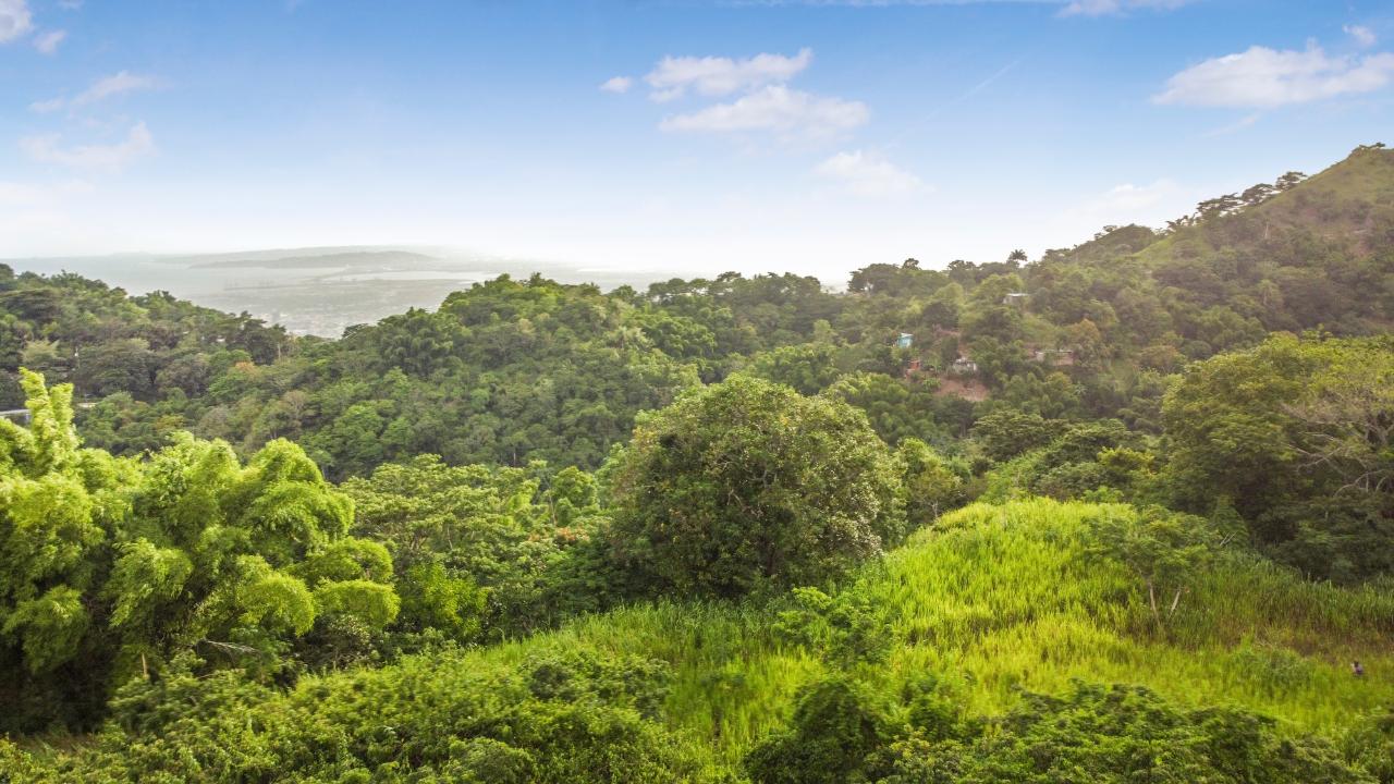 Development Land (Residential) For Sale PETERS ROCK ROAD, Jacks Hill