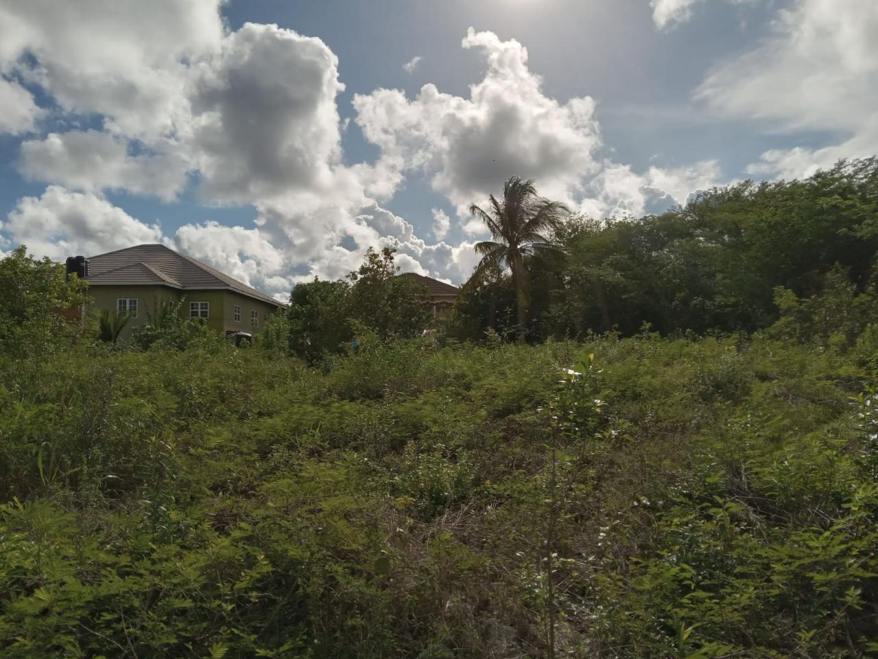 Residential Lot For Sale VICTORIA LAKE STREET, 2524 9,200,000 Keez