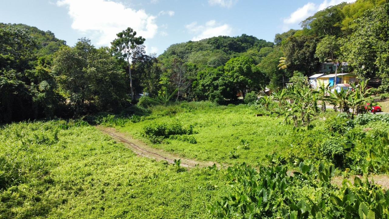 Residential Lot For Sale WINCHESTER ESTATES, Green Island 100,000