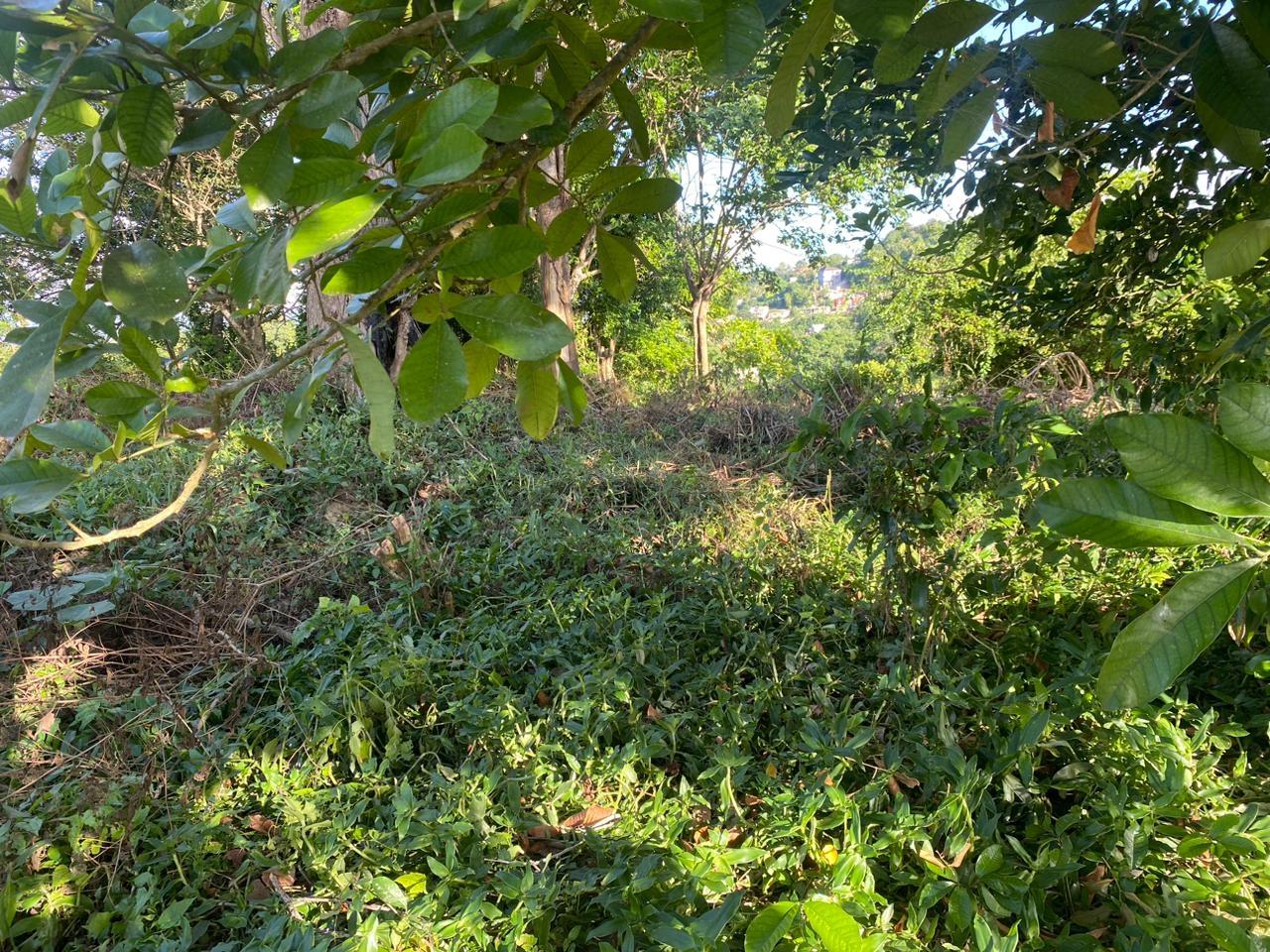 Residential Lot For Sale EDEN STREET, Mandeville 5,000,000 Keez