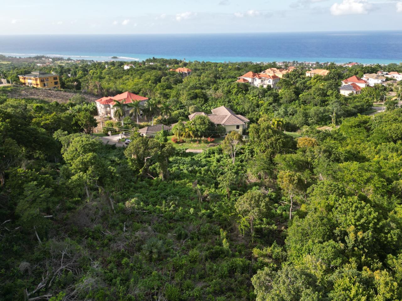 Residential Lot For Sale SPRING FARM ,ROSE HALL, Little River