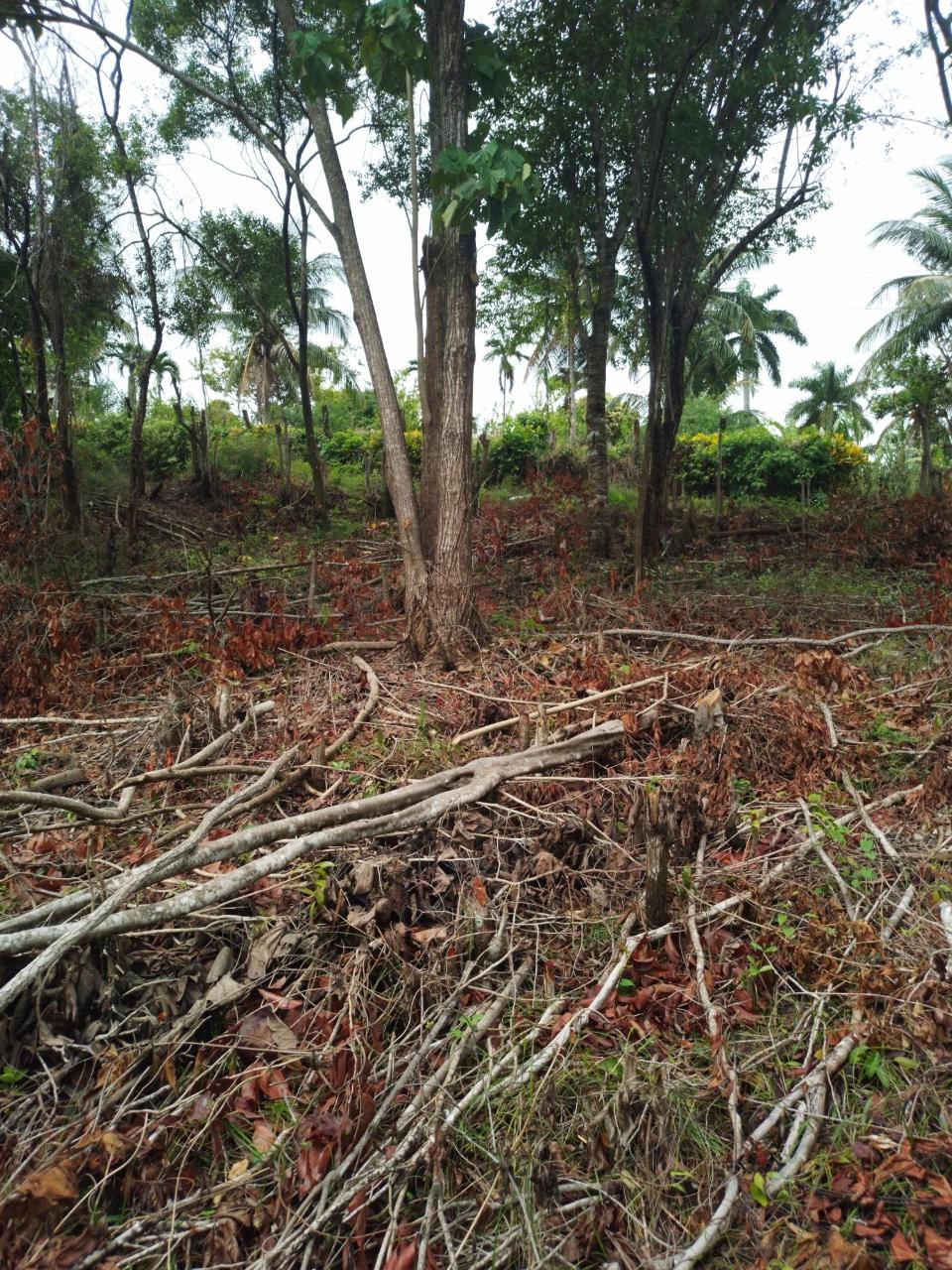 Residential Lot For Sale SUSSEX, St. Annapos;s Bay 78,000 Keez