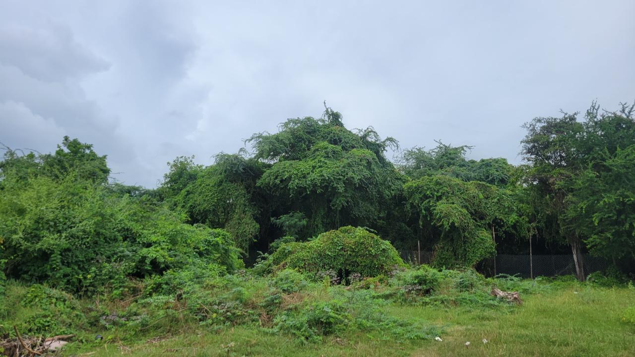 Residential Lot For Sale CLAYTON CLOSE, Spanish Town 8,000,000 Keez