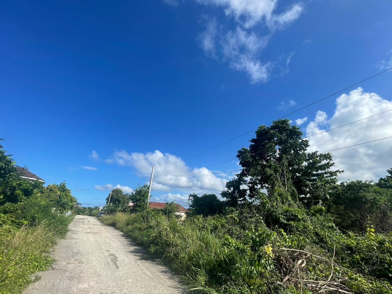 Residential Lot For Sale RIO NUEVO CIRCLE, Huddersfield Estates