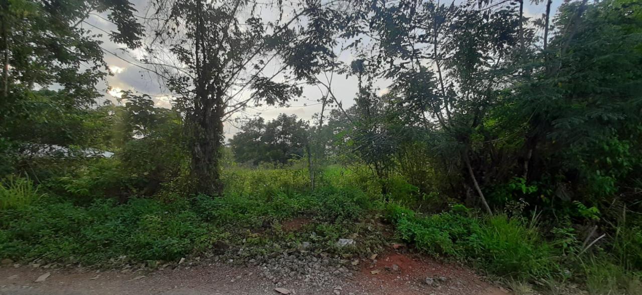 Residential Lot For Sale HUNTLEY, Browns Town 9,000,000 Keez