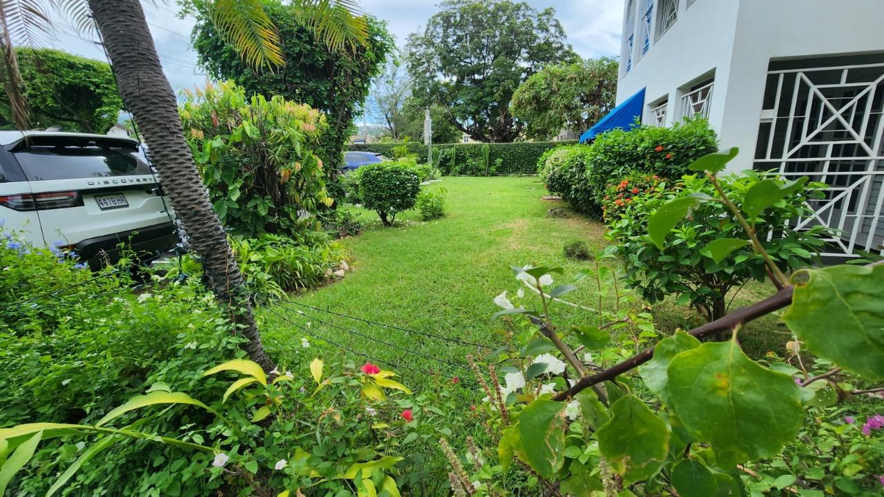 Apartment For Rent LADY MUSGRAVE ROAD, Kingston 5 120,000 Keez