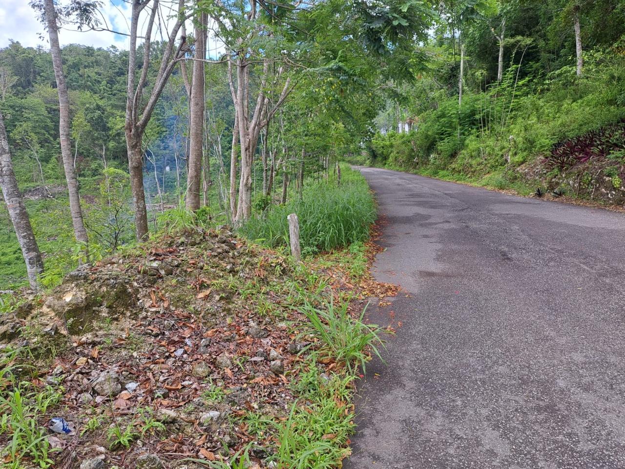 Residential Lot For Sale DUNCAN BAY, DUNCAN BAY 12,000,000 Keez