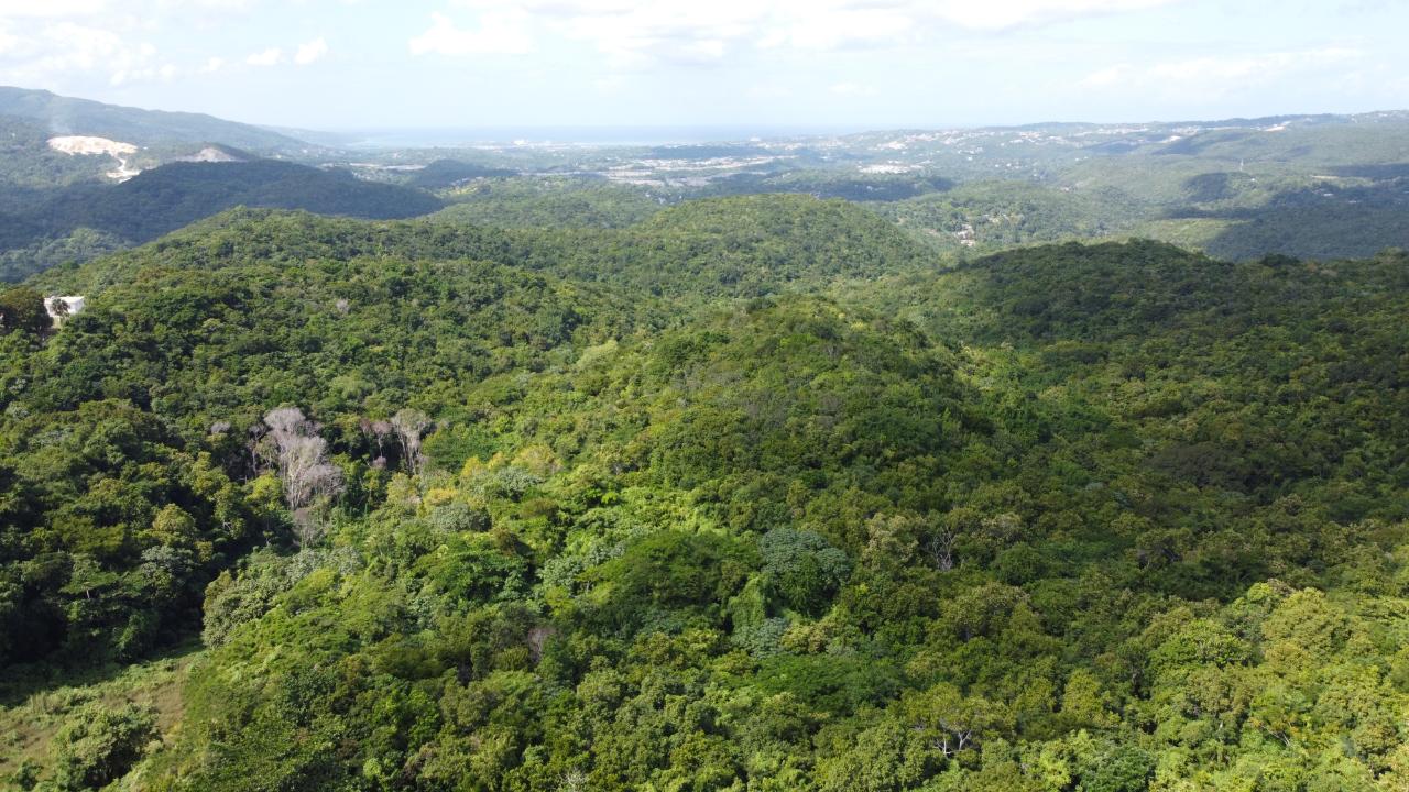 Development Land (Residential) For Sale ORANGE RIVER, MONTEGO BAY