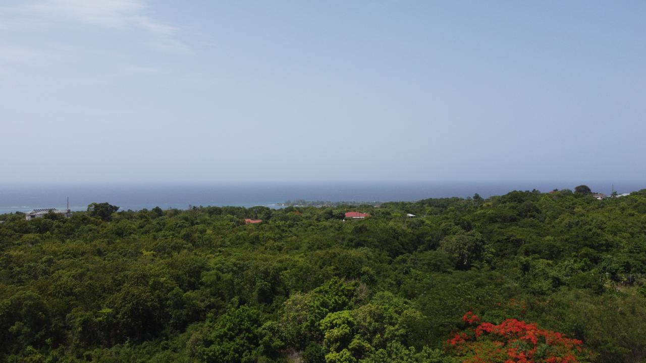 Residential Lot For Sale BRIDGEWATER, Discovery Bay 110,000 Keez