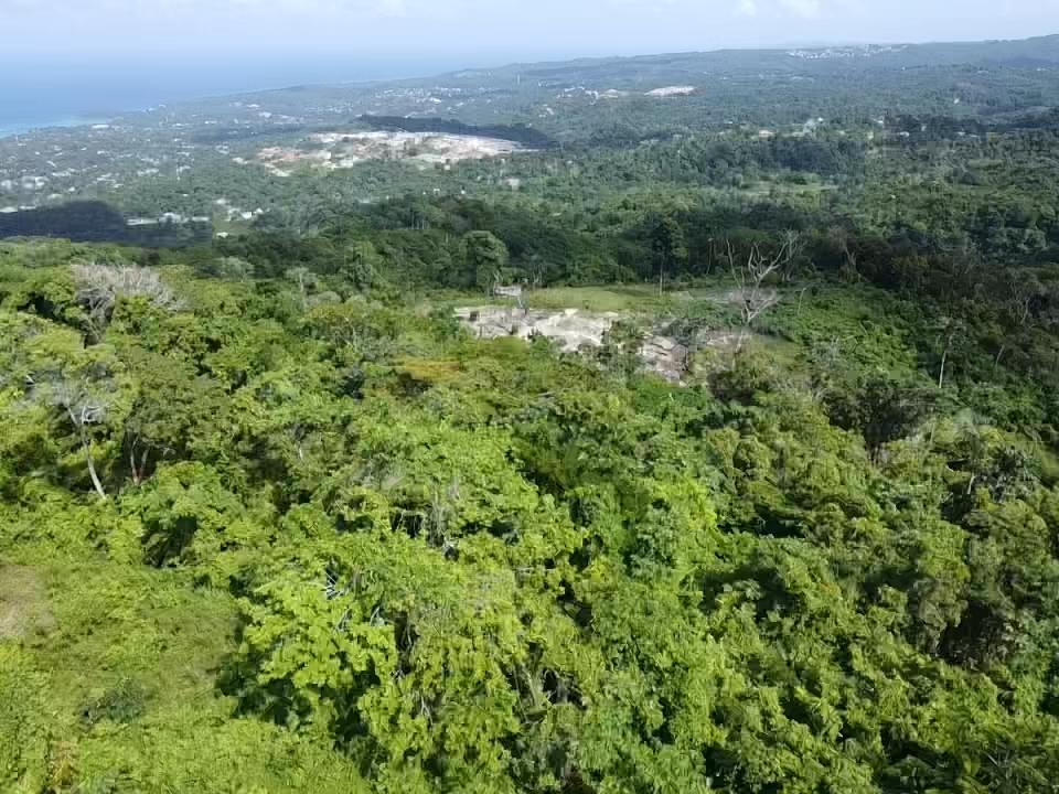Development Land (Residential) For Sale NEW HOPE, Ocho Rios