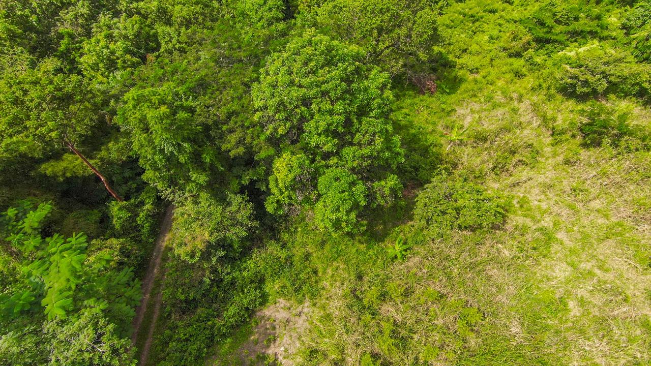 Offices / Commercial Bldg For Sale ASHLEY CHAPLETON, CLAREND