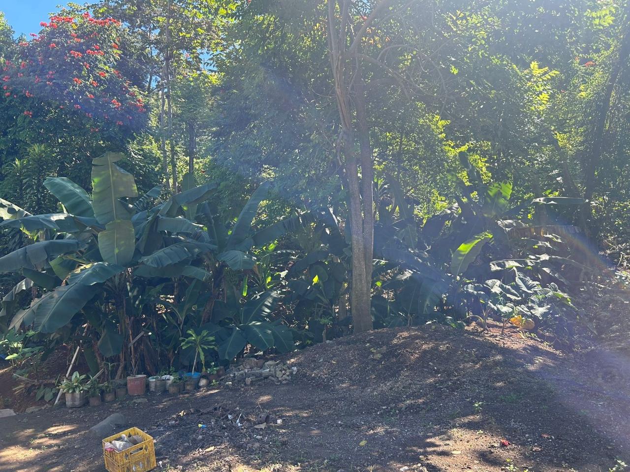 Commercial Lot For Sale WESLEY RD, Mandeville 32,500,000 Keez