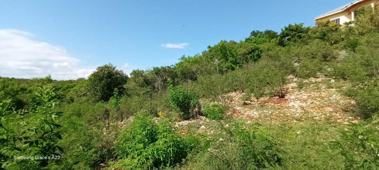 Residential Lot For Sale OLD HARBOUR GLADES, Old Harbour 7,500,000